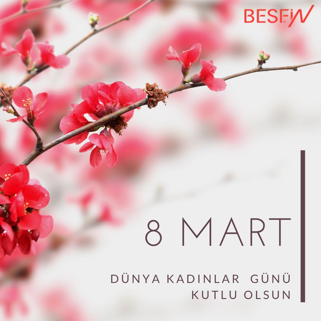 Besfin tweet media