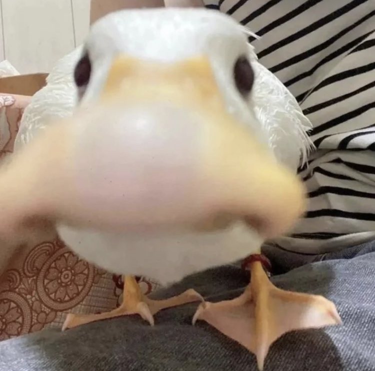 ShidoLilBread's tweet photo. Got games on your phone https://t.co/PaDoaYVOSC