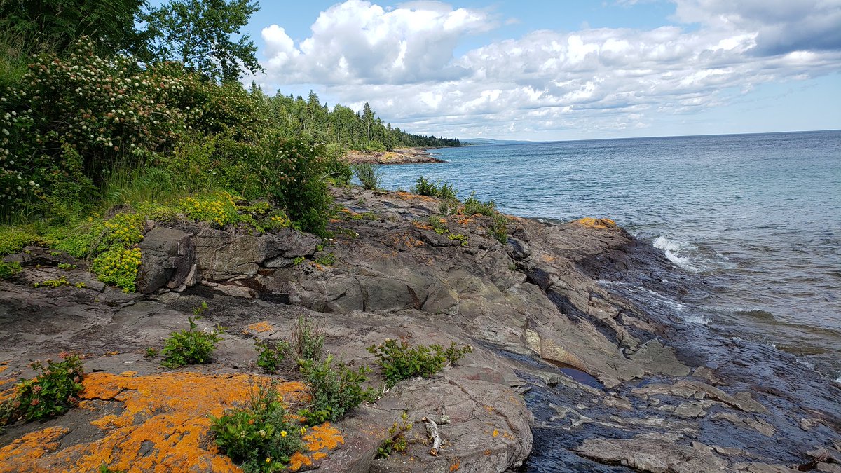 TownsUsa's tweet photo. Lutsen, Minnesota
Population: 265
Photos from Google Places API
Link: https://t.co/ZJZIhcJI4D https://t.co/Ii3BVuiQhm