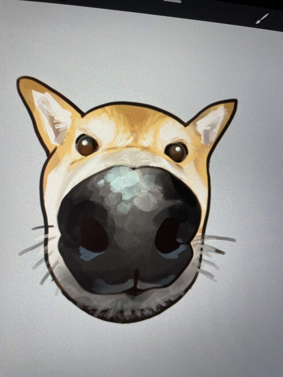 Sheri 🌻 tweet media