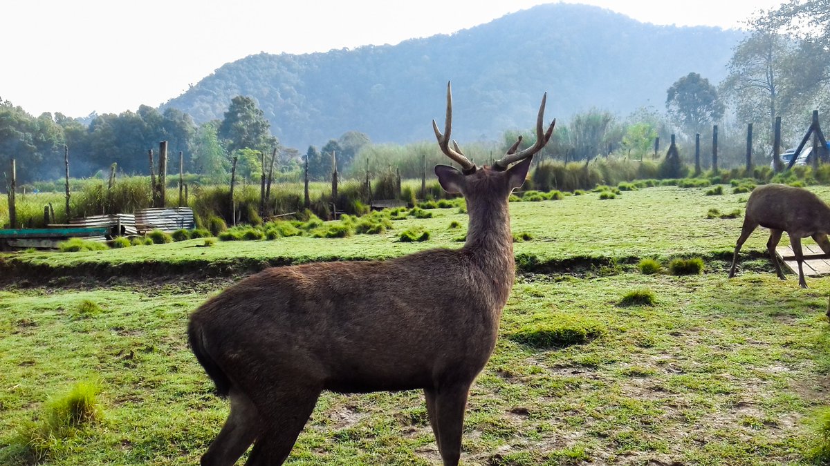 meLmoriess's tweet image. Padahal Ranca upas bagus banget kalau pagi pagi💔