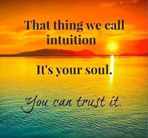 NiceNre's tweet photo. Goedemorgen allemaal lieve mensen #trustyoursoul 🙏🏼 fijne woensdag 💖🥰💃🦋☕️❤️‍🔥🍀😻 https://t.co/KnhtDC982B