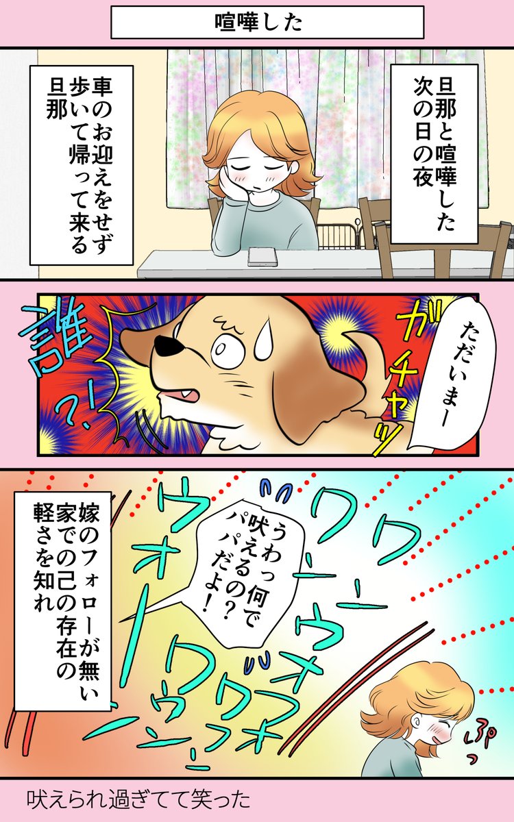 【犬んの警戒心】 #エッセイ漫画 #犬 #夫婦