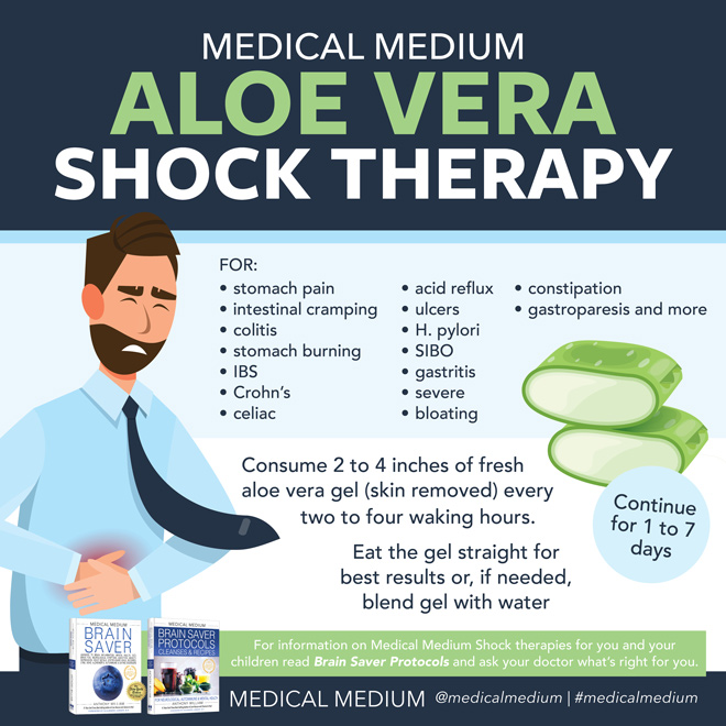 MedicalMedium's tweet photo. Medical Medium Aloe Vera Shock Therapy directions and suggested applications, here: https://t.co/rhwSfR9wqt https://t.co/eDcwdfbOxE