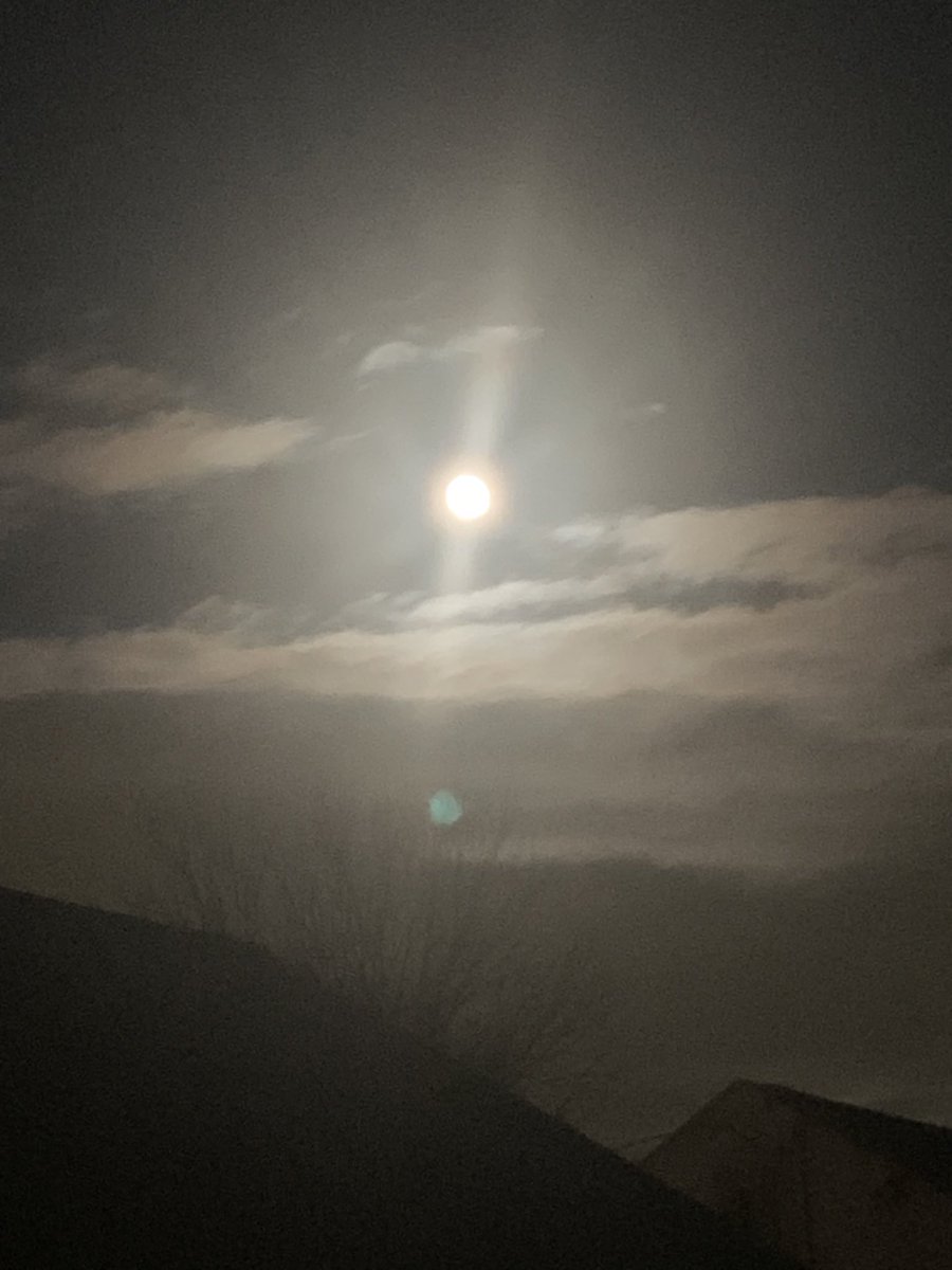 robin_bryson's tweet photo. Your Full Worm Moon for 2023. https://t.co/HrJfKsftsU