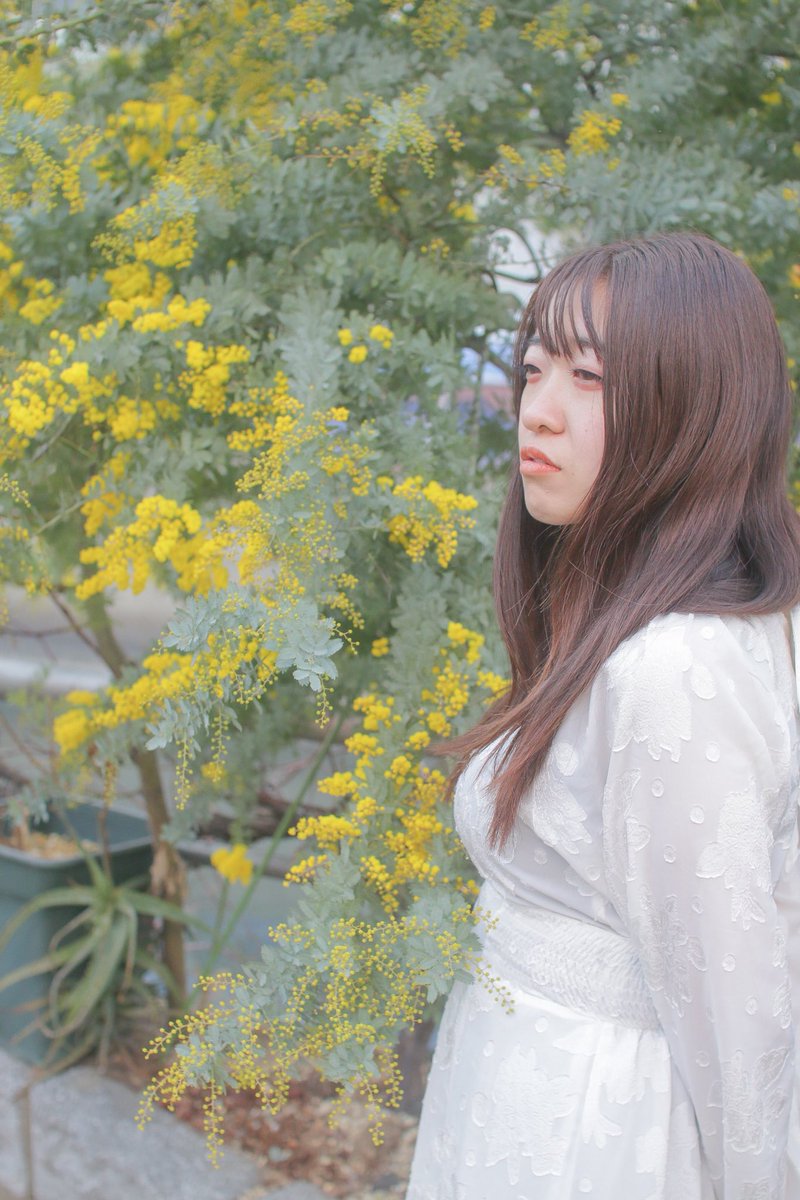 ミモザの日😊

model(<a href="/suzu_photo521/">すず🐱@2/3～2/8PMD九州📍県立美術館</a> )
camera(<a href="/UtarotanU/">U</a> )

#ミモザの日
#国際女性デー
#portrait
#photography