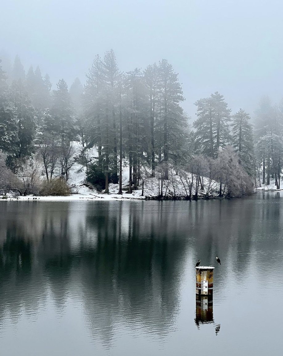 We are forever in love with chilly mountain mornings at Lake Gregory Regional Park. Where’s your favorite place to enjoy winter in San Bernardino county?

📸: @crestlinechamber
📍: Lake Gregory Regional Park, CA