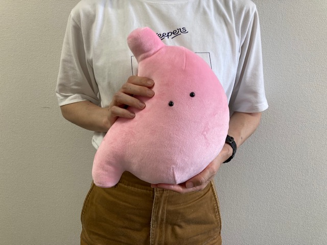 FANS もちもちにんげんのからだぬいぐるみBIG」が3月2週から順次登場