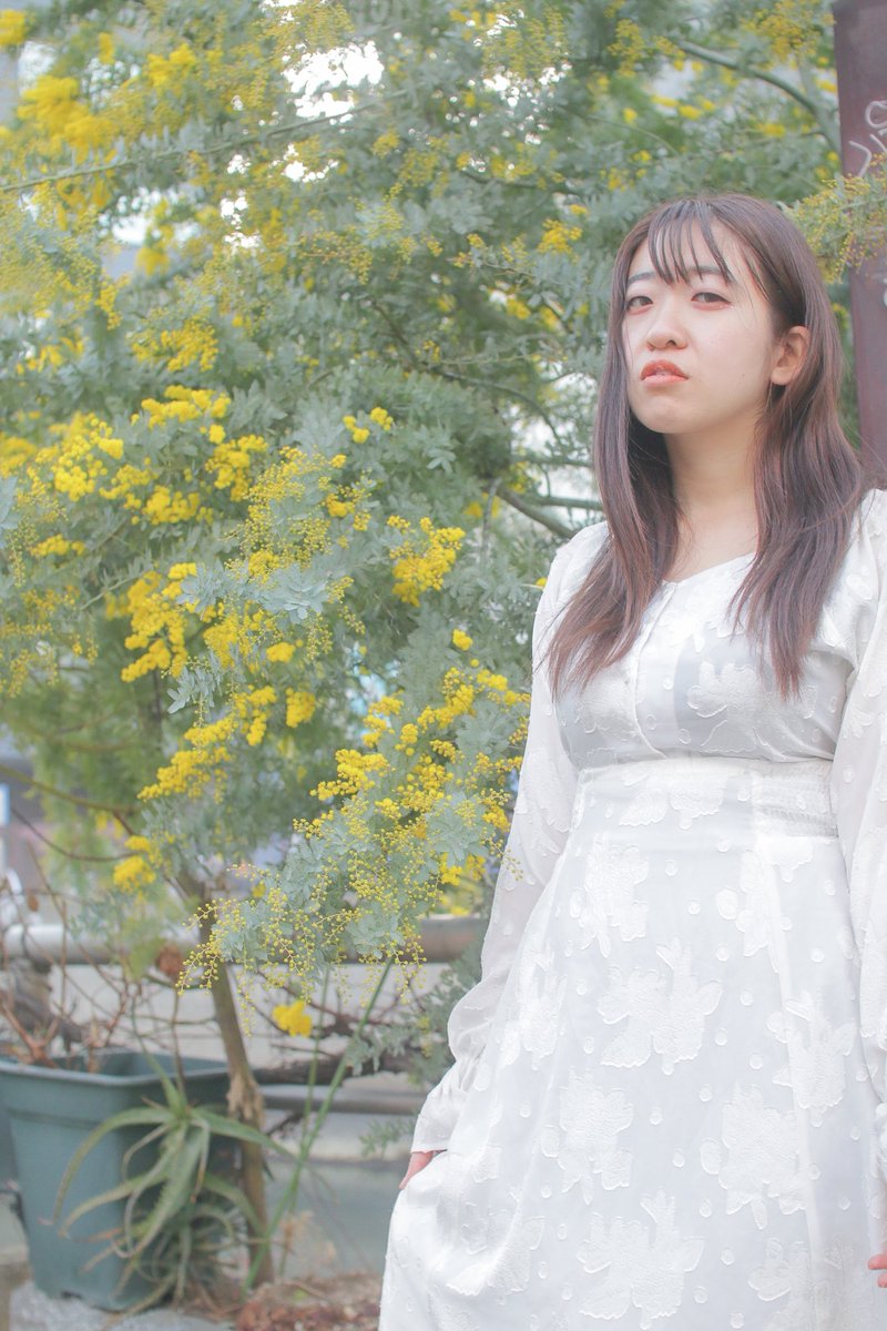 ミモザの日⭐️⭐️

model(<a href="/suzu_photo521/">すず🐱@2/3～2/8PMD九州📍県立美術館</a> )
camera(<a href="/UtarotanU/">U</a> )

#ミモザの日
#国際女性デー
#portrait
#photography