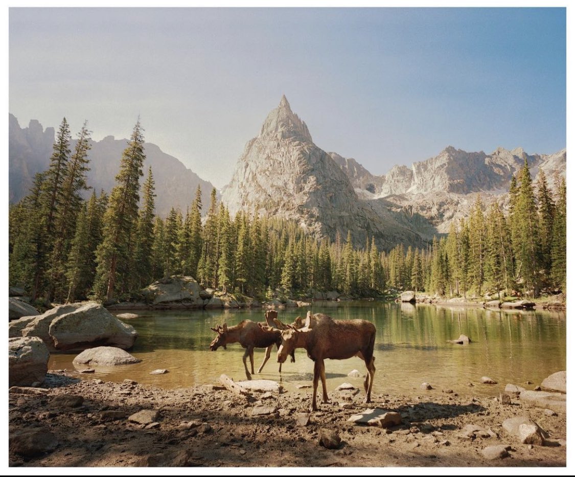 jakob_lr's tweet photo. A study of Landscape Photography 

📷 Matt Santomarco https://t.co/sxleEb0MM8