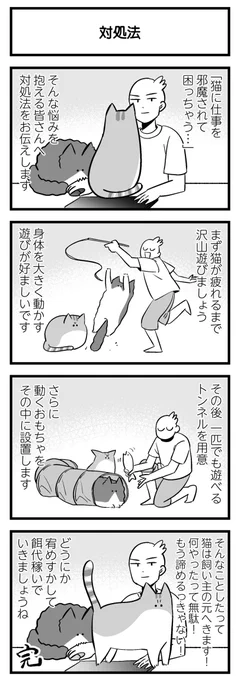 猫飼いの皆さんへアドバイス 