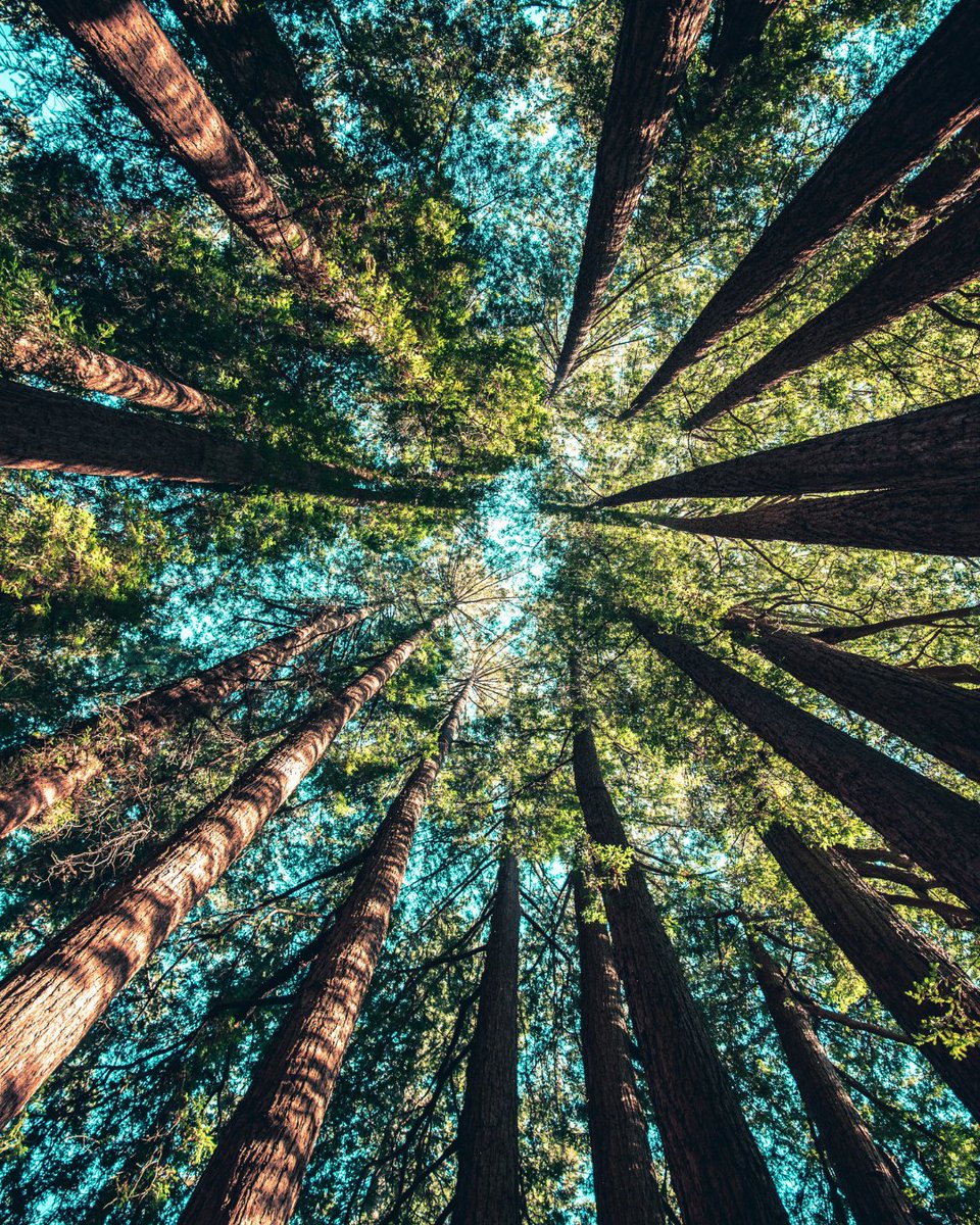 TravelwithKGS's tweet photo. Smell the sea, and feel the sky. Let your soul and spirit fly.
Explore: https://t.co/dFGQW2scmp
#travelwithkgs #photographer #photooftheday #picoftheday #wanderer #traveller #explorepage #explorer #solotravel #travelphotography #prefection #perfectview #trees #plants #treeslife https://t.co/5fvtZUOYVO