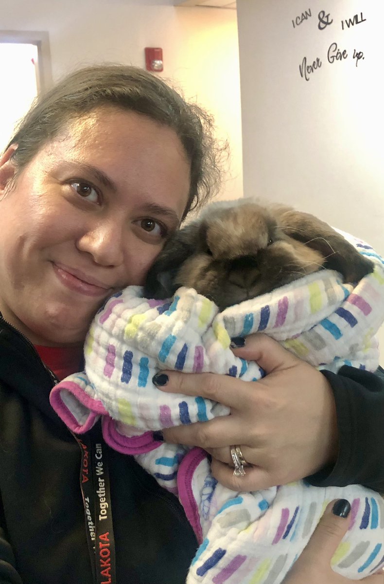LisaKiese's tweet photo. Someone reached out, as their rescued rabbit was in desperate need of a new home. I believe it was meant to be, the perfect addition to my classroom. Students named her Willow; she is absolutely beautiful, sweet & so loved already.
@Lakota_Central
#therapypets
#classroompets https://t.co/OCmAKXDhKH