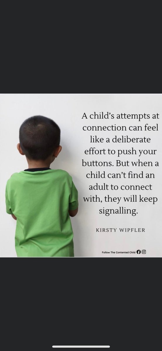 Amber Hill (@amberhill_cms) on Twitter photo 