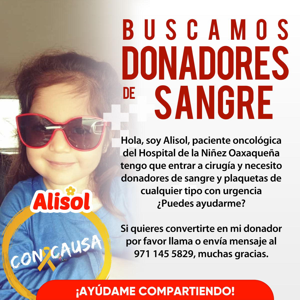 ConCausaMX's tweet photo. Alisol está buscando héroes y tú puedes ser quien la ayude a salir victoriosa, dónale sangre o plaquetas y si puedes también comparte esta publicación, gracias ❤️🎗️🩸 #ConCausa #Oaxaca #DonaSangre #CancerInfantil #UltimaHora #DiaInternacionalDeLaMujer #TwitterOax https://t.co/sw2Sz62nbB