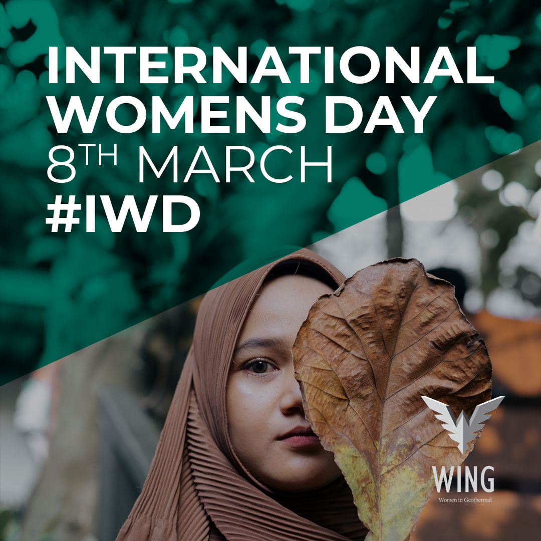 WING_geothermal's tweet photo. Happy #IWD2023, #InternationalWomensDay! We mark the importance of #FundamentalFreedomsforAll! Women belong in all places where decisions are being made! Women in #geothermal promote the #education, professional development, and advancement of #women in the geothermal community. https://t.co/Yu3dCQsfDp