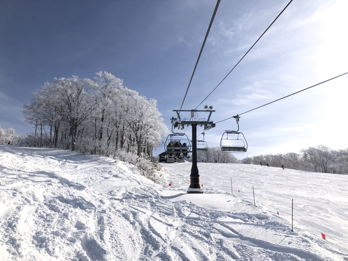 【スキージャム勝山（福井県）】
最長滑走距離は5,800mでロングクルーズが楽しめる西日本最大級のスキー場で、カービングターンが気持ち良い斜度が多いレイアウトとなっています。
私がここ数年で1番よく訪れるゲレンデで、技術のレベルアップにも最適です。

◆ホームゲレンデ旅（訪問数1位）
