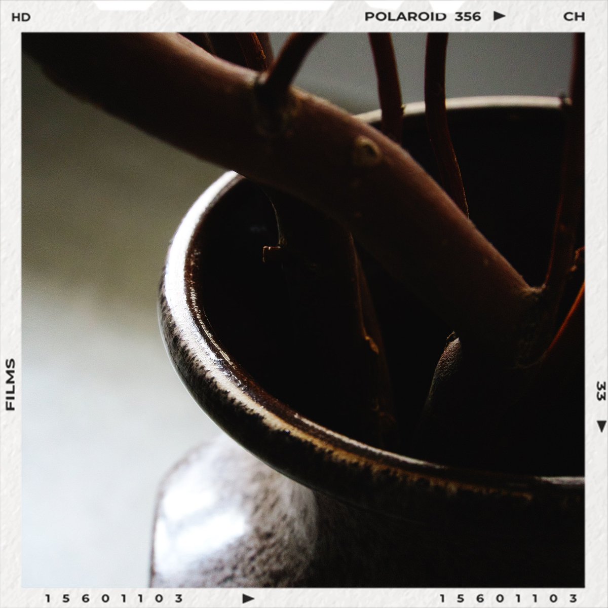 ___reiya's tweet photo. still life photography https://t.co/vFDy6dh3K6