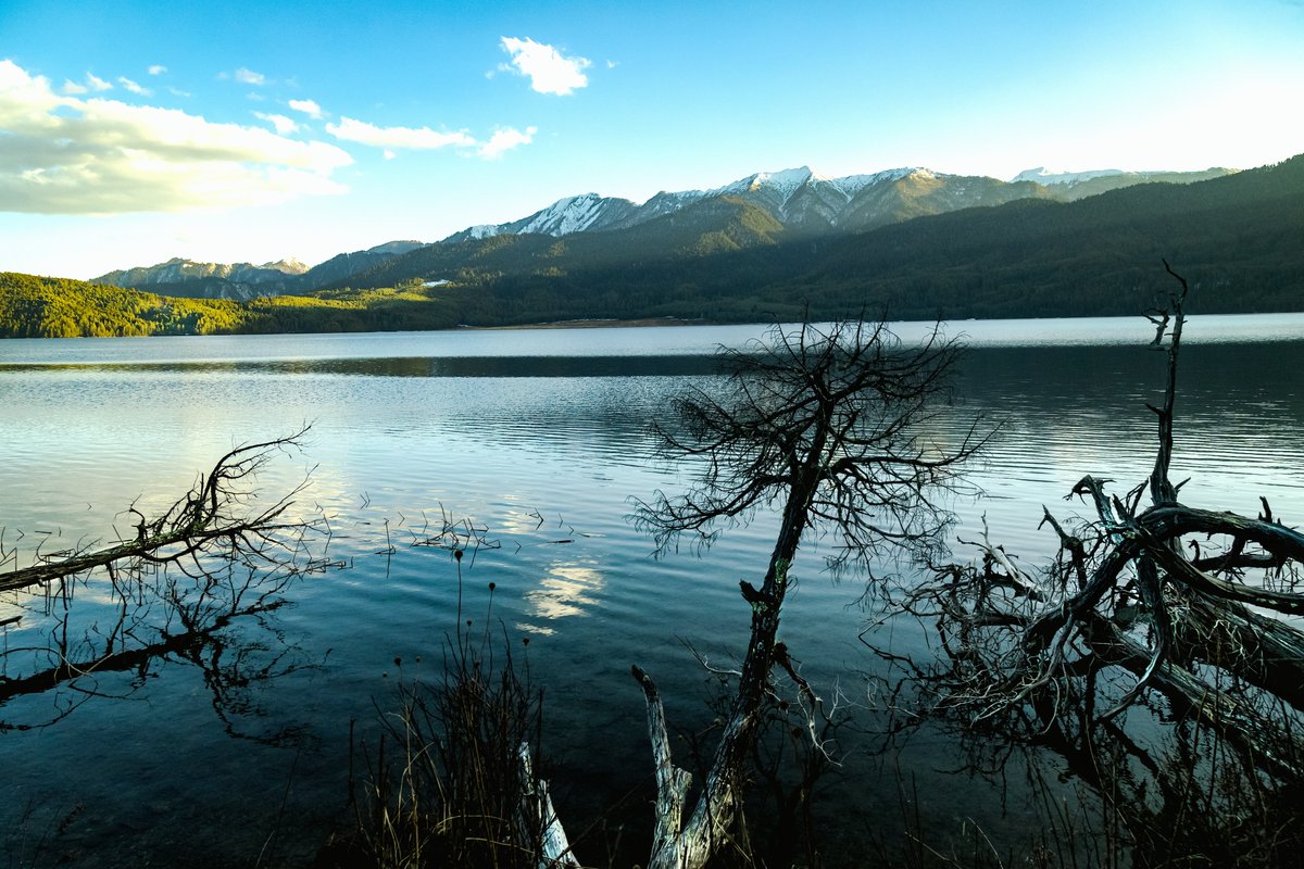 JOURNEY TO RARA LAKE
 #trampinghimalaya #hikinglovers #mountainslovers #travelphotography #instagood #raralake #journey_rara_lake #lifetimeadventure #naturelovers #landscape #hikinglovers #culture #trekkinginnepal #instadaily #kathmandu #wonderlust