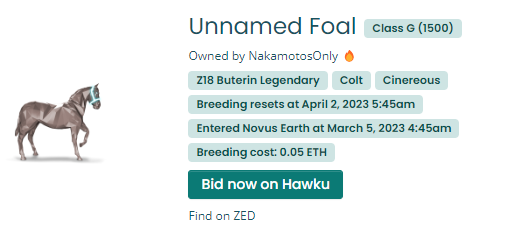 tradeyourhorses's tweet photo. Big thank you to @NakamotosOnly on the deal for this UUU Z18 Buterin Legendary...
#muchappreciated @zed_run #stableowner @tradeyourhorses #Marketplace https://t.co/tg0HT3MGEZ