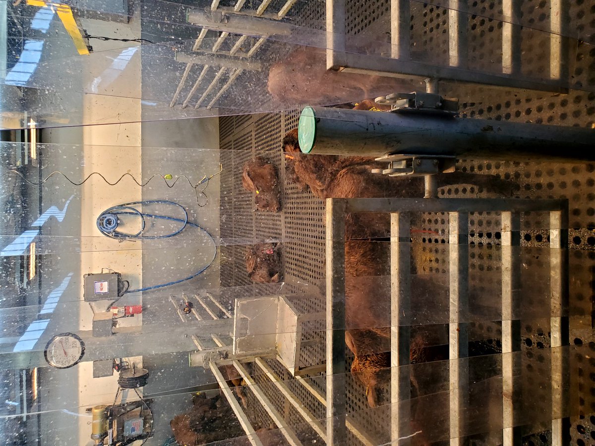 Emily Jay tweet media