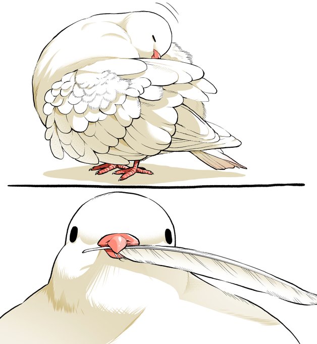 プレゼント 