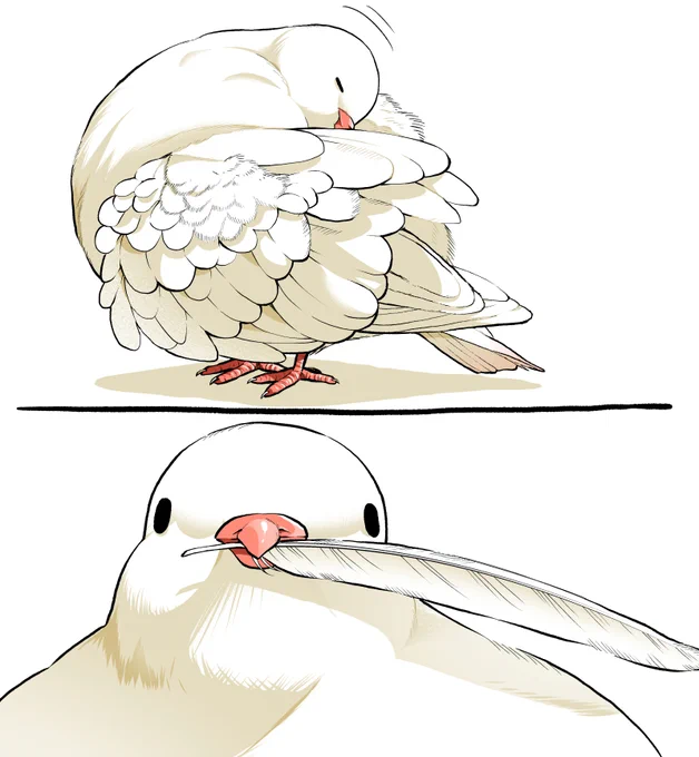 プレゼント 