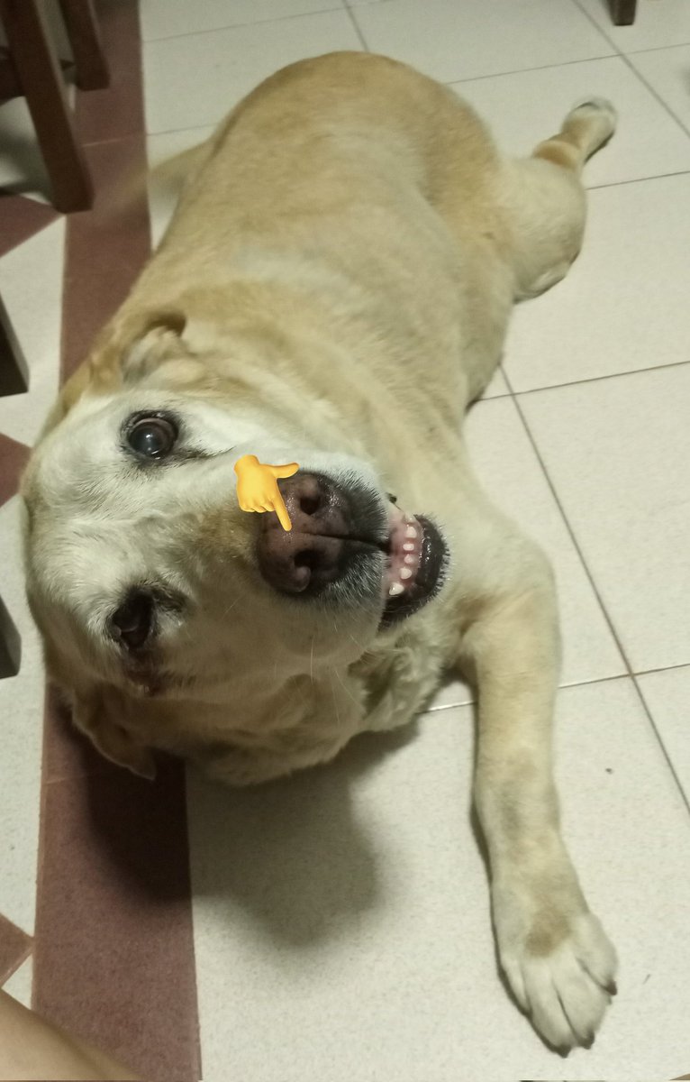 briixotb's tweet photo. Boop https://t.co/tlNFpujSDT