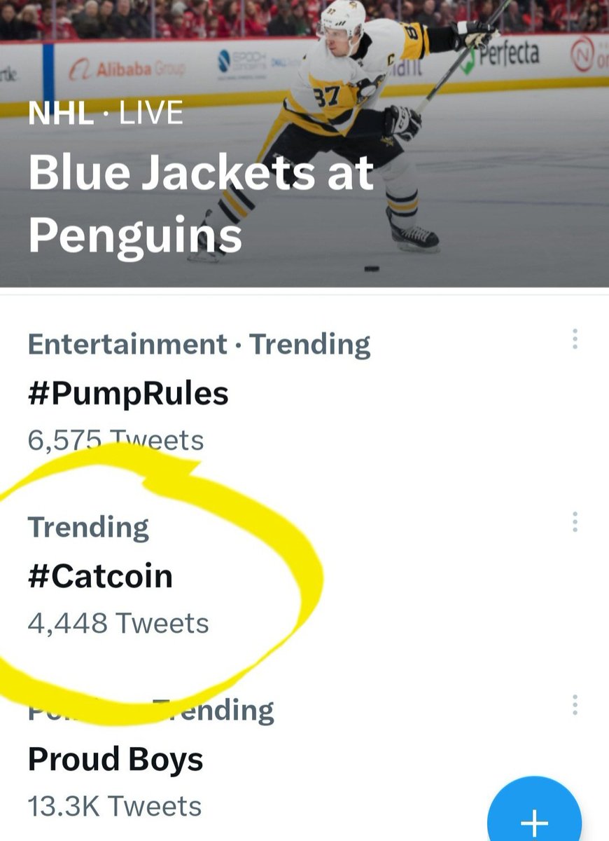 officialcatcoin's tweet photo. #Catcoin is trending on Twitter today! 🔥 #CatcoinArmy #crypto #CatsOfTwitter https://t.co/gls4mk9Ez2