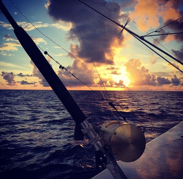 FishOrangeBeach's tweet photo. The season is here!
#fishorangebeach #charterfishing #deepseafishing ⁦@FISH_SHIMANO⁩ https://t.co/iwXbpBVHGv