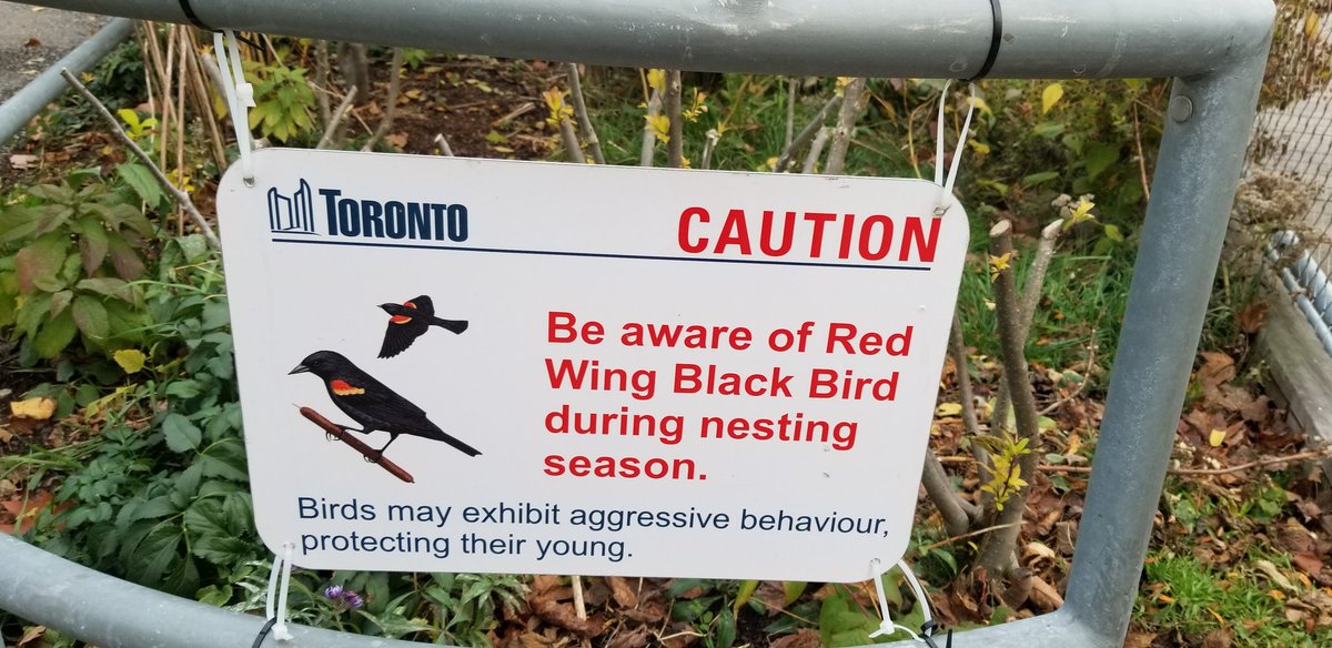 BackpocketHR's tweet photo. @mynamesnotgordy @blogTO In related news... https://t.co/du0jyzQEW3