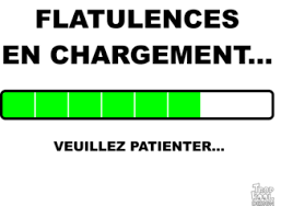 theviotmartial's tweet photo. Découvrez ce mal aimé qu'est le #topinambour:  culture facile pour le jardinier débutant, bienfaits (notamment pour les #diabétiques et les cardiaques), recette.
Et attention aux flatulences (guerre et pets😀)!  https://t.co/oo4fdq5wsM https://t.co/F5H1OYWoZH