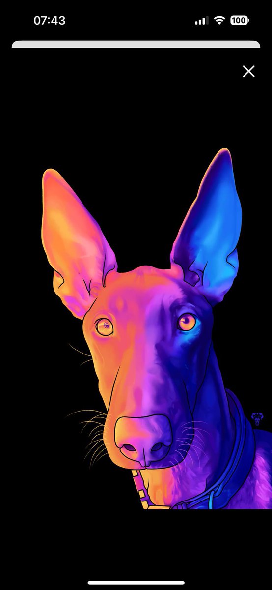 Pablo_Rocksey_M's tweet image. Hugo’s #rainbowbridge picture
Coming home
open.spotify.com/track/7htlzcMa…
Life is short, don’t waste a single day
@dorner_martina @CruelHorizon @jam_tako3 @ITHERETWEETER1 @Only_rock_radio @Chenel_No1 @HelenCounts85 @MsFoulwind @RufuskingBand @SharonEChen @Satin_band @cuzco31