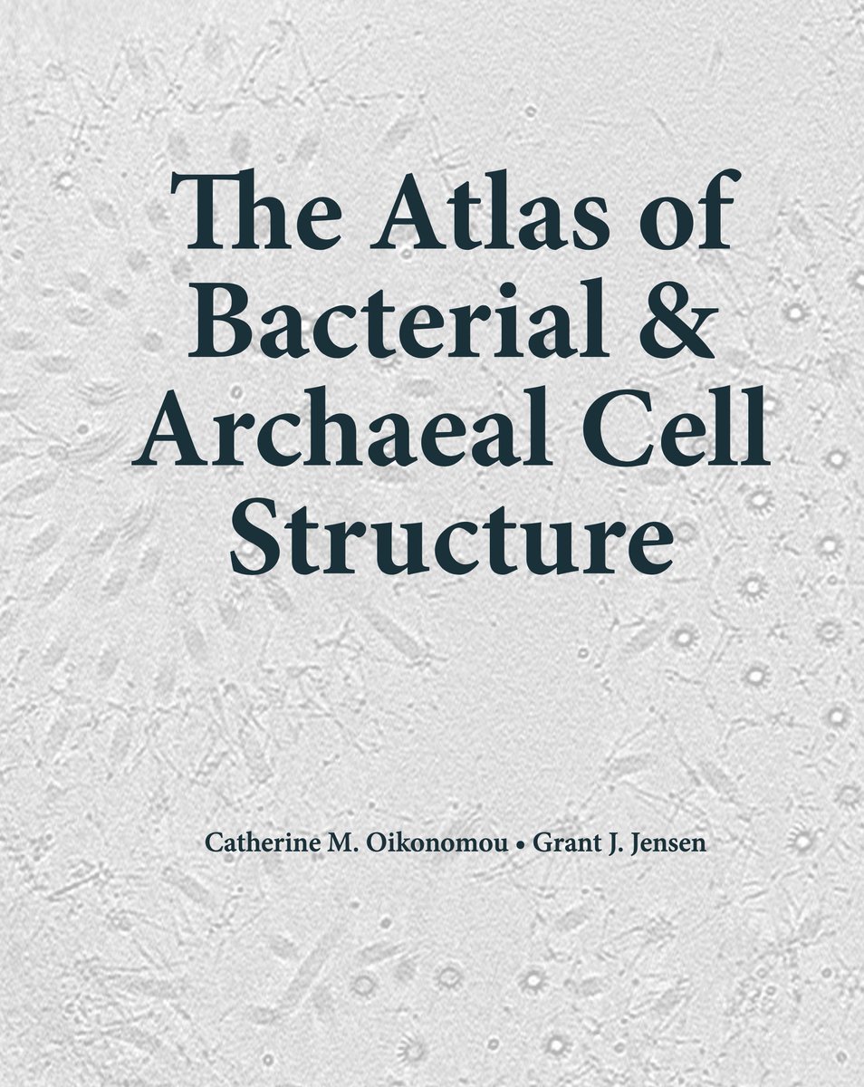 Akos T. Kovacs (@evolvedbiofilm) on Twitter photo See this superb online resource by Catherine Oikonomou & <a href="/theJensenLab/">Jensen Lab</a>: The Atlas of Bacterial & Archaeal Cell Structure - open-access digital textbook with cutting-edge 3D electron microscopy
now includes animated videos illustrating methods‼️
cellstructureatlas.org See this superb online resource by Catherine Oikonomou & <a href="/theJensenLab/">Jensen Lab</a>: The Atlas of Bacterial & Archaeal Cell Structure - open-access digital textbook with cutting-edge 3D electron microscopy
now includes animated videos illustrating methods‼️
cellstructureatlas.org