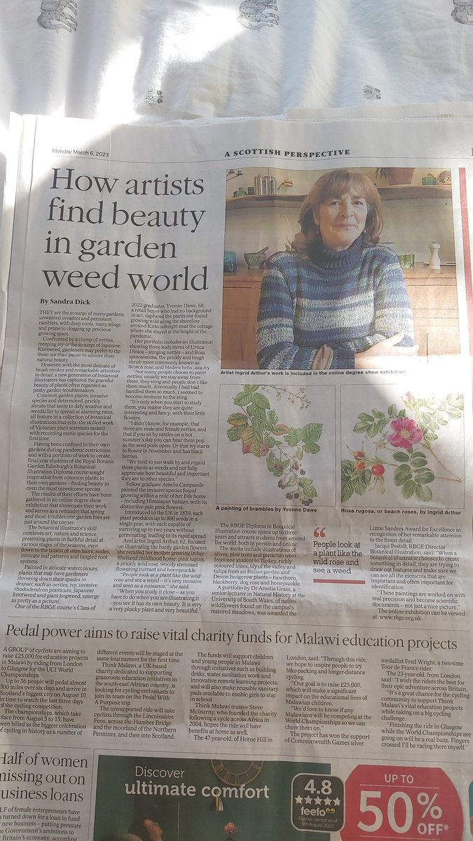 Finding beauty in #nettles caurnie have in abundance #eczema #psoriasis  in #nettlecream