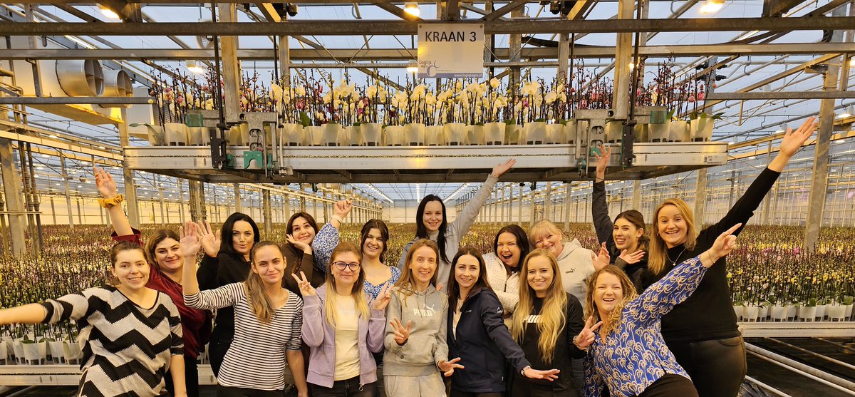 ITS ALL ABOUT THE GIRLS 💕✨ Without these ladies not one order would be processed and not one plant would be sent. A nice portion of girl power! 💪🏼 Happy Women's Day ladies! ♥️ #internationalevrouwendag #happywomensday #IWD2023 #internationalwomensday