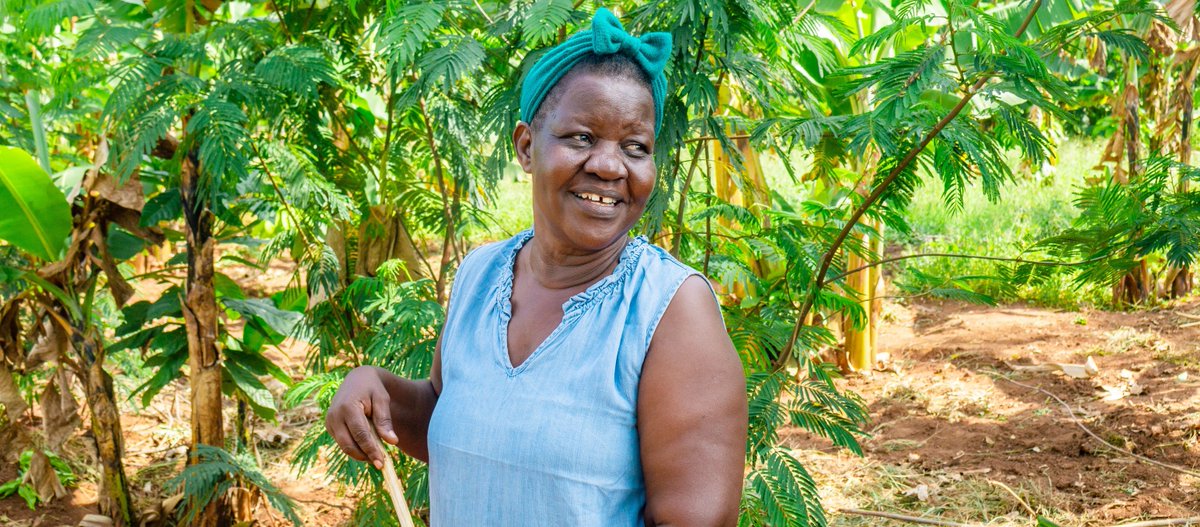 "Träden har förändrat mitt liv" berättar Eseri Galaya i Uganda som vid 70 års ålder upptäckt fördelarna med att plantera träd. Agroforestry ger ökad inkomst och förändrar även djupt rotade samhällsstrukturer och bidrar till ett mer jämställt samhälle. #InternationalWomensDay2023