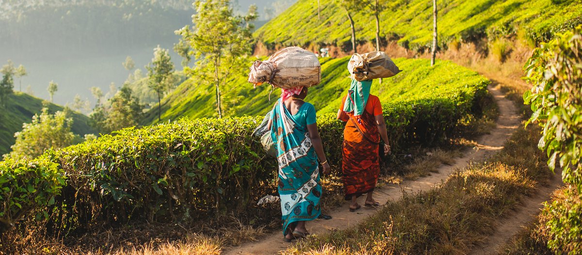 On #IWD2023, we are pleased to launch the <a href="/UNDP/">UN Development</a> ICMIF Insurance Innovation Challenge Fund Call for Applications to boost the financial resilience of low-income populations, especially women, in developing countries through #mutual #insurance #SDGs
icmiffoundation.org/insurance-inno…