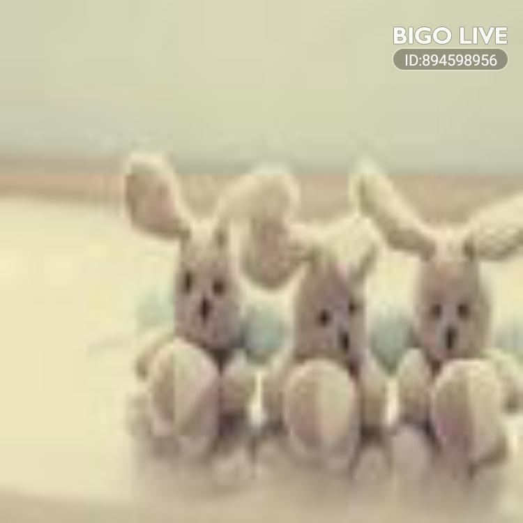 crosseyehendrix's tweet photo. Come and see Zoey Cain streaming live on #BIGOLIVE and make new friends!  https://t.co/LJp0twJXqQ https://t.co/tSvX9Q27SH