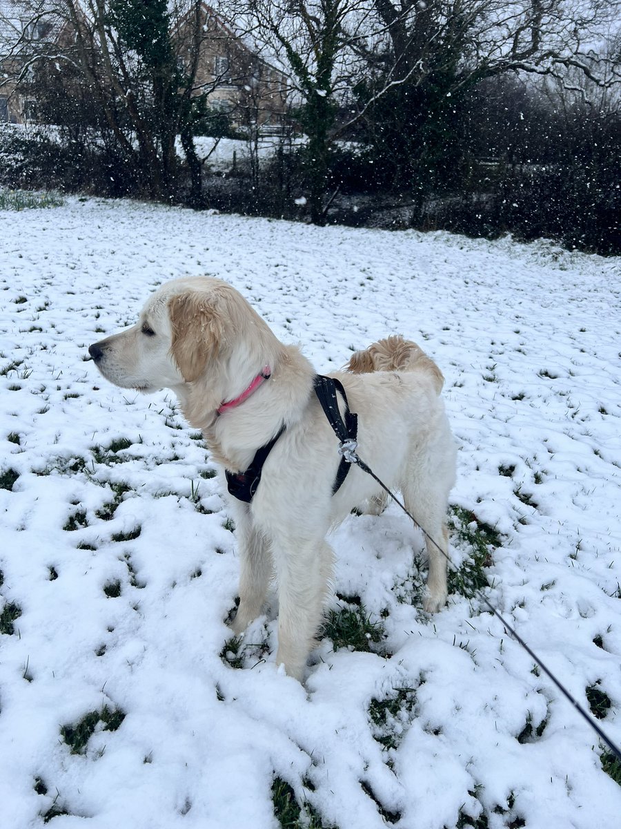 Neil Wilmer tweet media