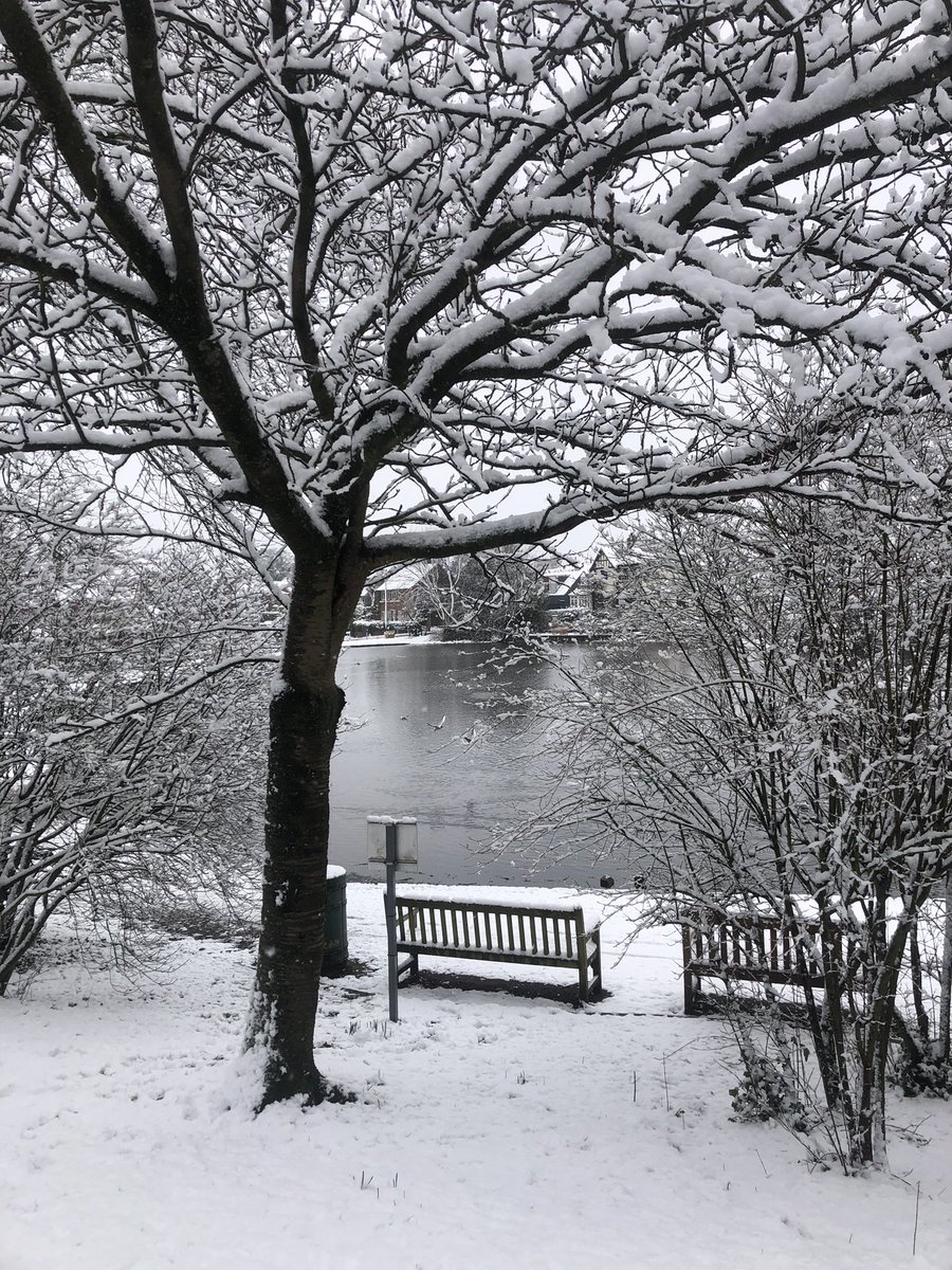 Walton is a winter wonderland this morning 🥶 ❄️
