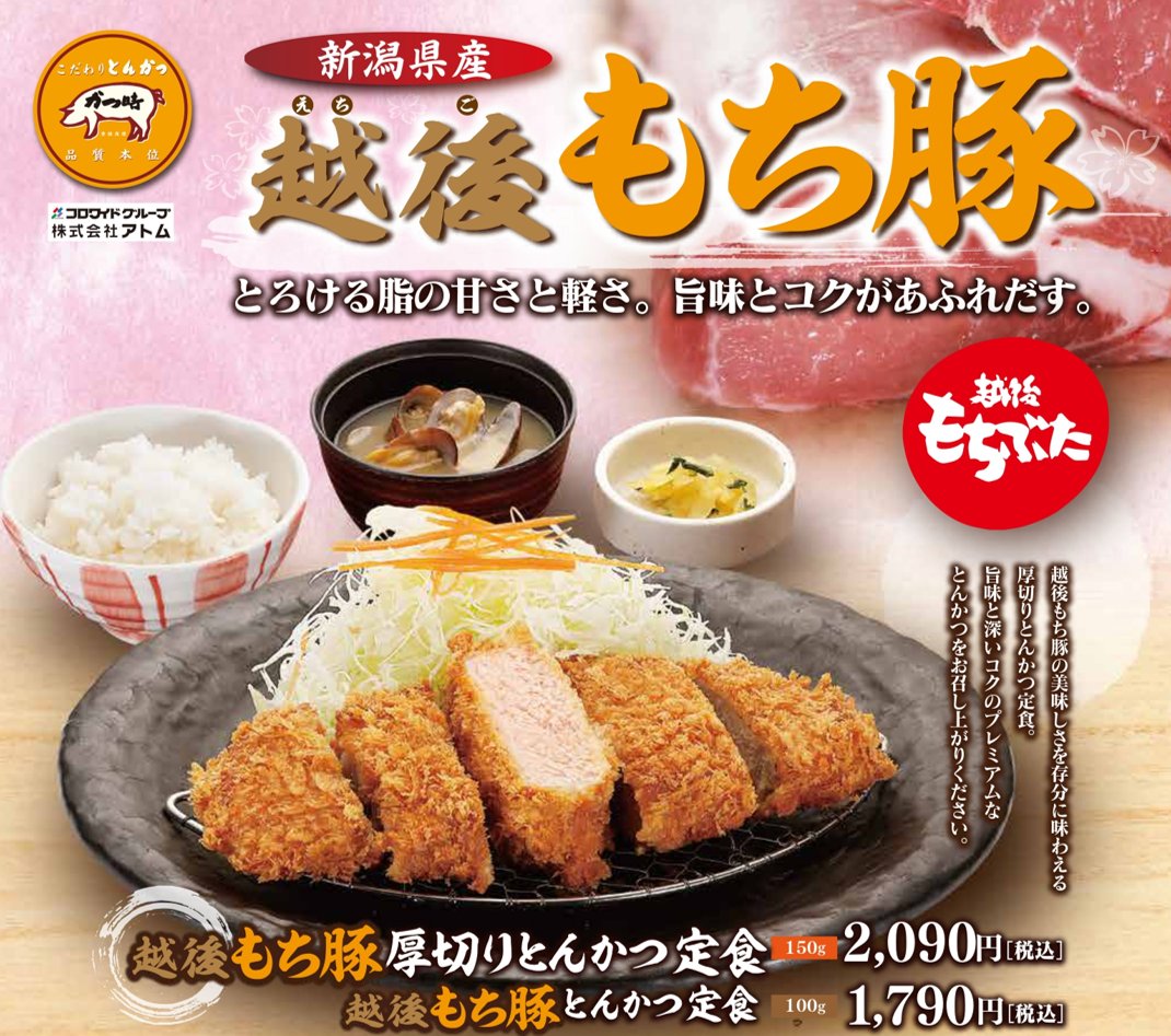 24時間以内発送 mellojoy とんかつ mellojoy メロジョイ 和食シリーズ とんかつ - メルカリ