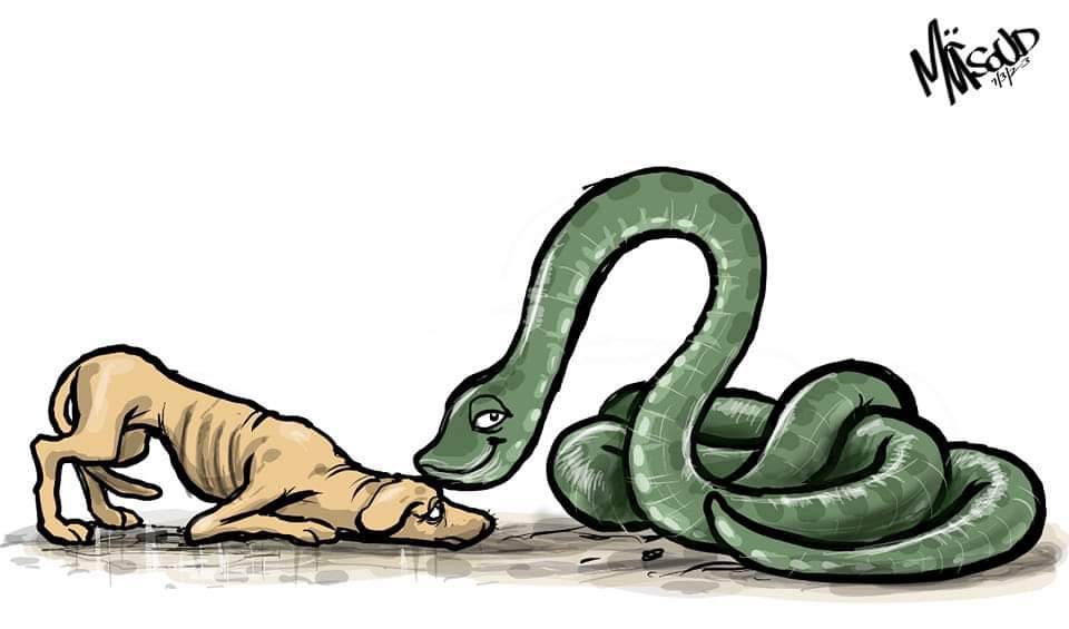 Kigogo Media tweet media