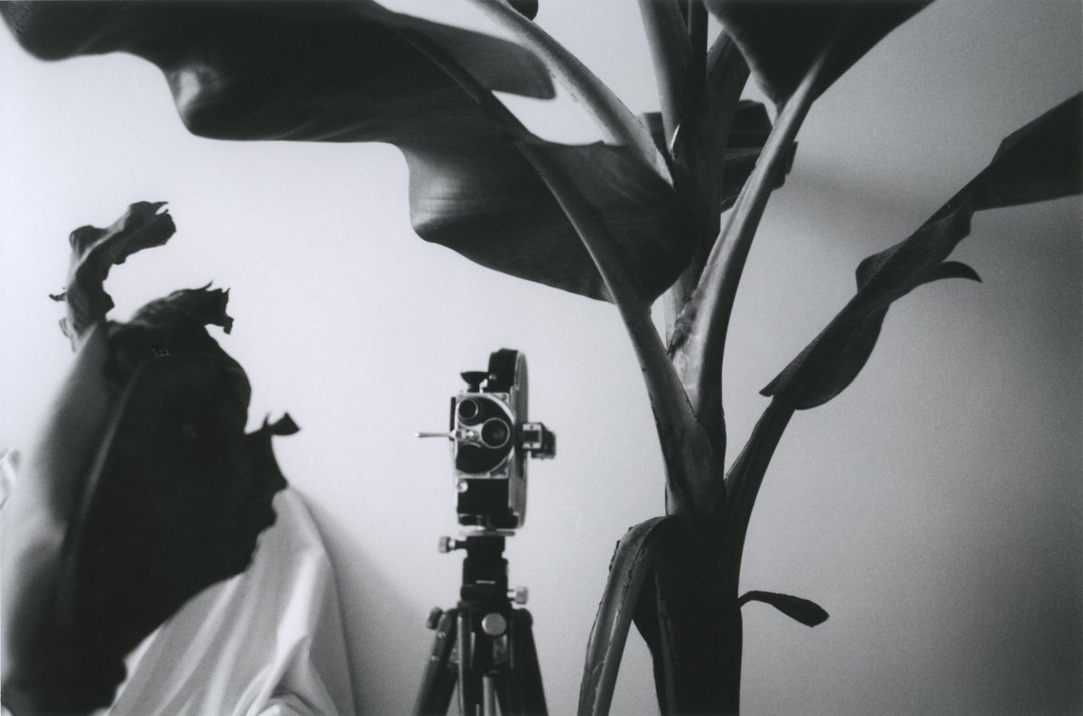 Roma's tweet photo. 🎬🎭 Roma Culture: al via una nuova settimana di eventi. Tante le proposte offerte dalle istituzioni culturali cittadine. In programmazione anche gli appuntamenti di #PPP100 dedicati al centenario pasoliniano.
Il calendario dall'8 al 14/3 ⤵️
https://t.co/Q7JoXMgvD3
@culture_roma https://t.co/Aq8yirSpiM