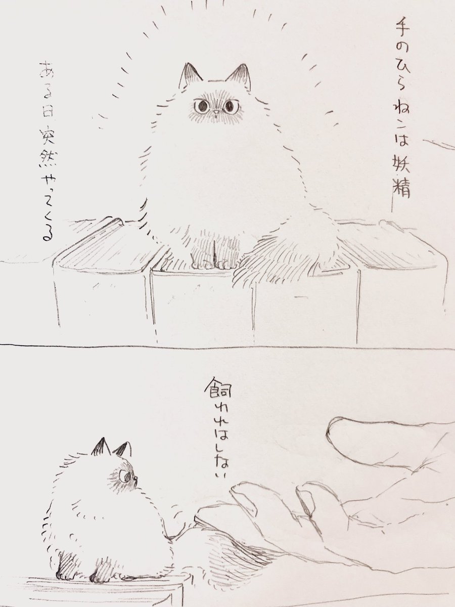 ペコ様専用ページ 原画 絵画 似顔絵 イラスト ドローイング
