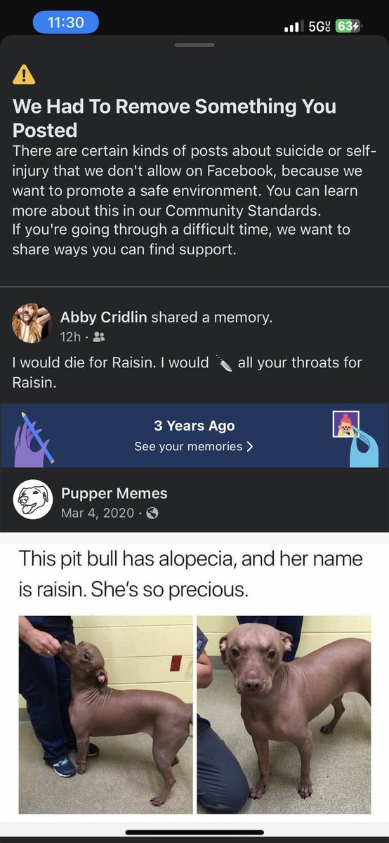 gingysmallz's tweet photo. Facebook is so fucking extra. How you gonna put me in jail for two days bc you think I’m suicidal?? 🥴 https://t.co/RJeAW2VEmY