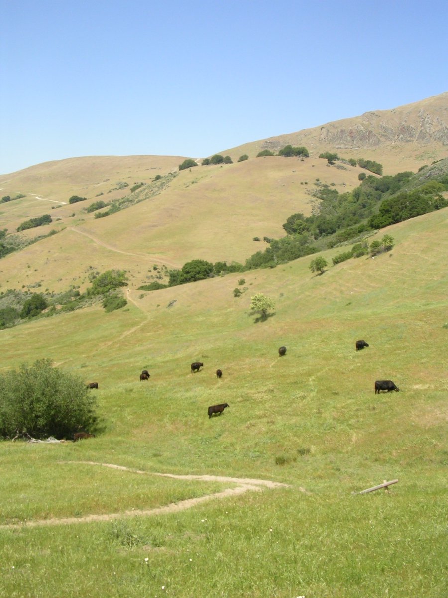 Emily Farrer (@emilycfarrer) on Twitter photo Job alert: postdoc in community ecology / plant-soil feedbacks
Come work with me and <a href="/lmhallett/">Lauren Hallett</a> on a USDA-funded project on the effects of drought on plant-microbe interactions in CA. Job ad pending but see info here: emilyfarrer.wordpress.com/prospective-st⦠Job alert: postdoc in community ecology / plant-soil feedbacks
Come work with me and <a href="/lmhallett/">Lauren Hallett</a> on a USDA-funded project on the effects of drought on plant-microbe interactions in CA. Job ad pending but see info here: emilyfarrer.wordpress.com/prospective-stā¦