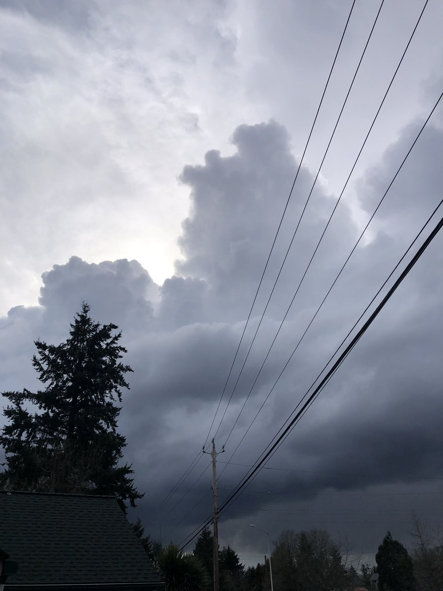 waynedaniels's tweet photo. @KimTwister rare lightning bolt strikes Auburn WA residence hitting tree causing explosion around 3 pm pst today!   Waynesworldmedia visuals https://t.co/7tvoneNNv5