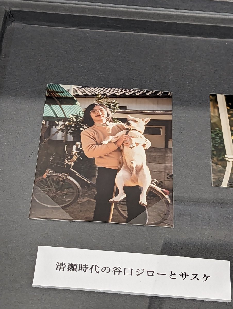 『歩く、描く 谷口ジローと清瀬 』展行ってきた。生原稿の美しさを目の当たりにして、既に胸いっぱいなのに「犬を飼う」の資料見たらもうだめ。文庫版持ってるし号泣するのに「犬を飼うそして…猫を飼う」買って帰ってきた。
#谷口ジローと清瀬 #谷口ジロー #清瀬市郷土博物館