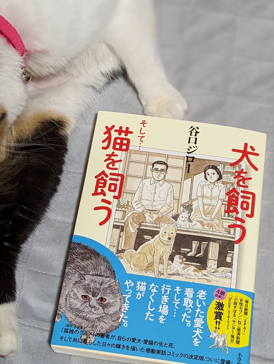 『歩く、描く 谷口ジローと清瀬 』展行ってきた。生原稿の美しさを目の当たりにして、既に胸いっぱいなのに「犬を飼う」の資料見たらもうだめ。文庫版持ってるし号泣するのに「犬を飼うそして…猫を飼う」買って帰ってきた。
#谷口ジローと清瀬 #谷口ジロー #清瀬市郷土博物館 